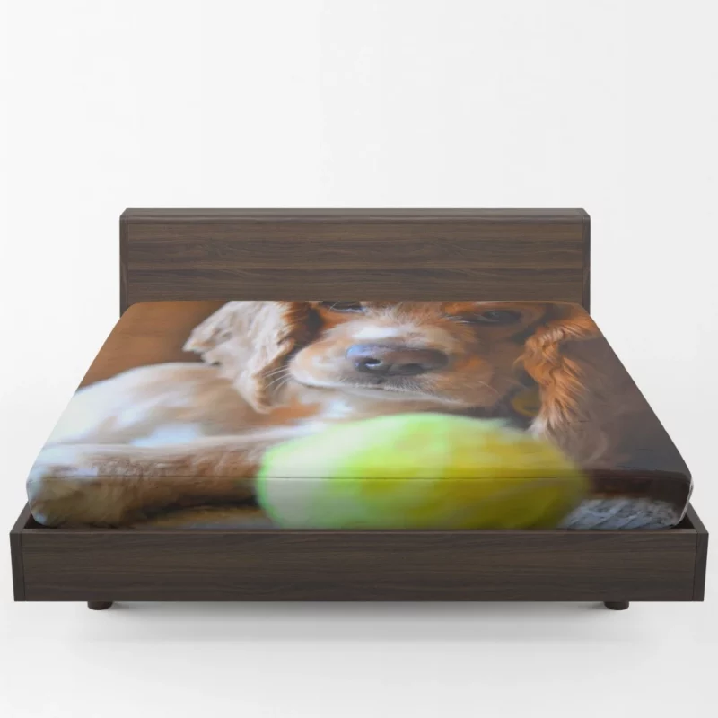 Cocker Spaniel with Tennis Ball Furry Play Fitted Sheet