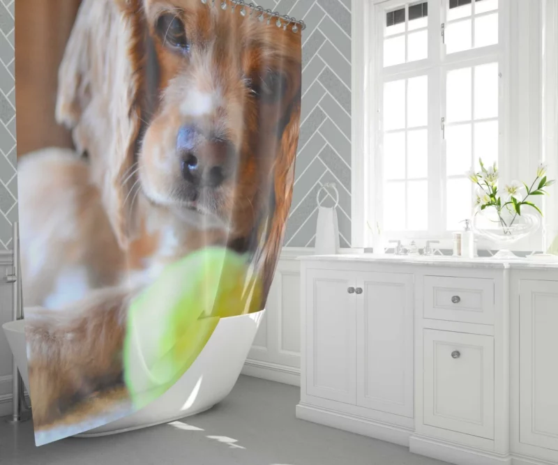 Cocker Spaniel with Tennis Ball Furry Play Shower Curtain 1