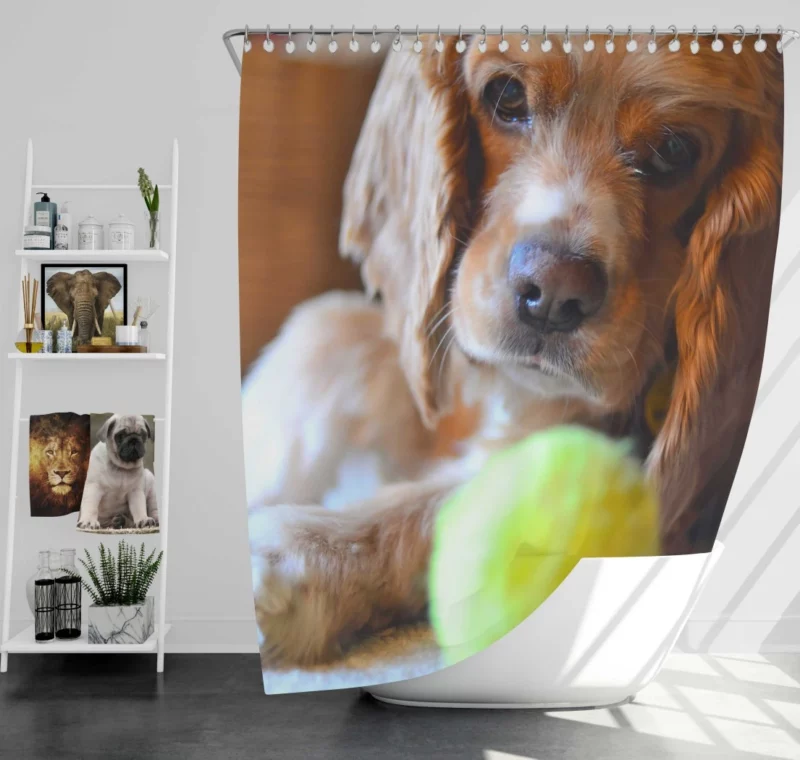 Cocker Spaniel with Tennis Ball Furry Play Shower Curtain