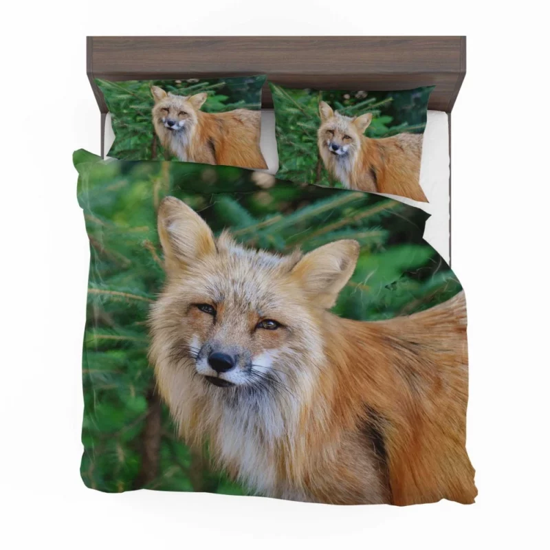 Colorful Fox Charm Bedding Set 1