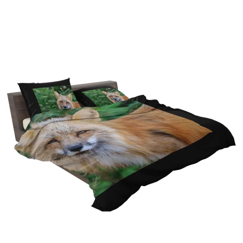 Colorful Fox Charm Bedding Set 2