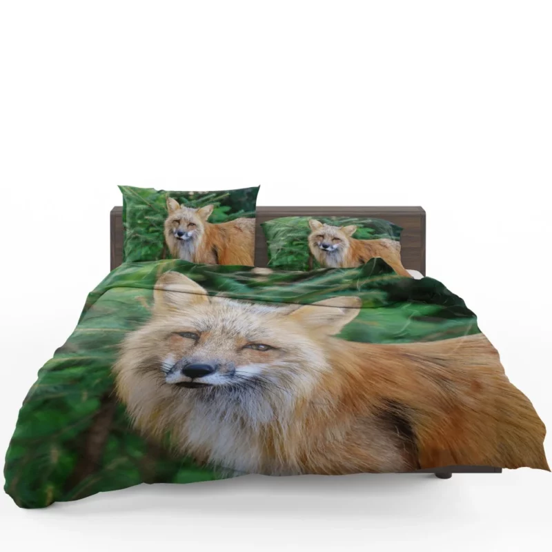 Colorful Fox Charm Bedding Set