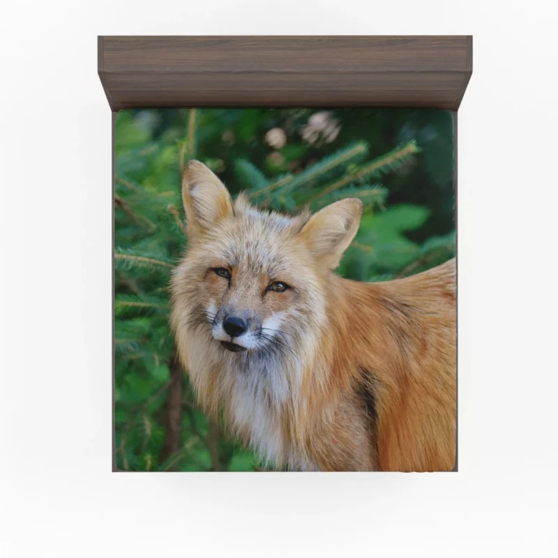 Colorful Fox Charm Fitted Sheet 1