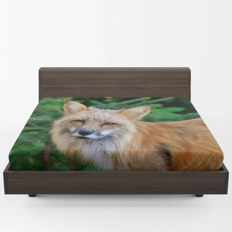 Colorful Fox Charm Fitted Sheet