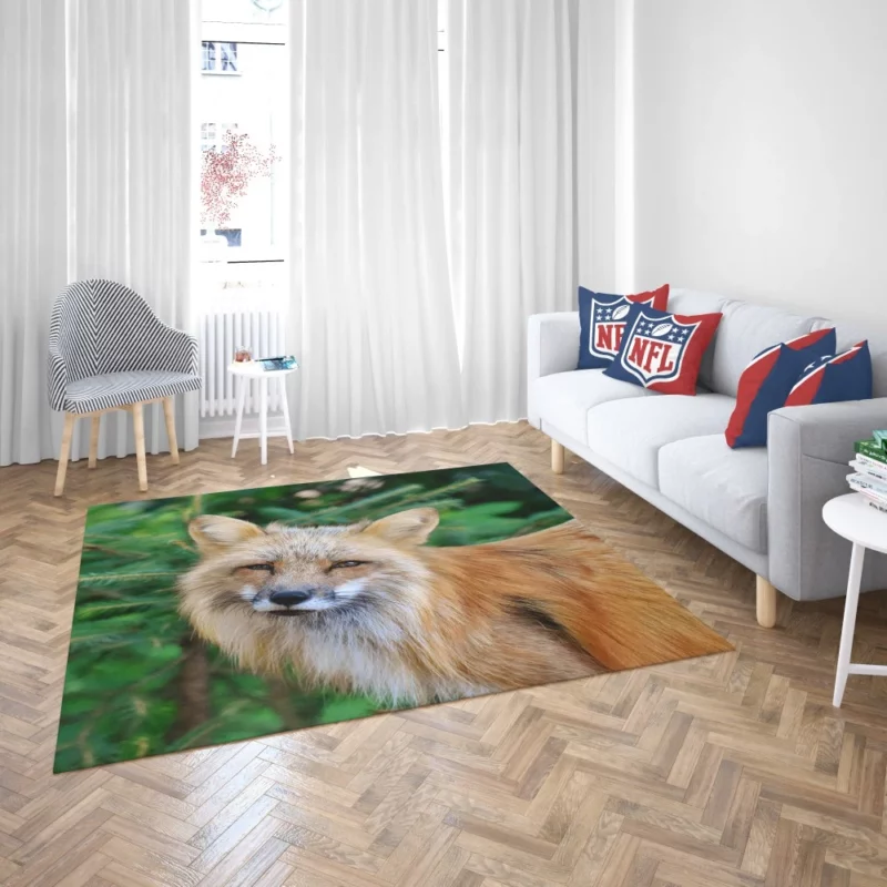 Colorful Fox Charm Rug 2