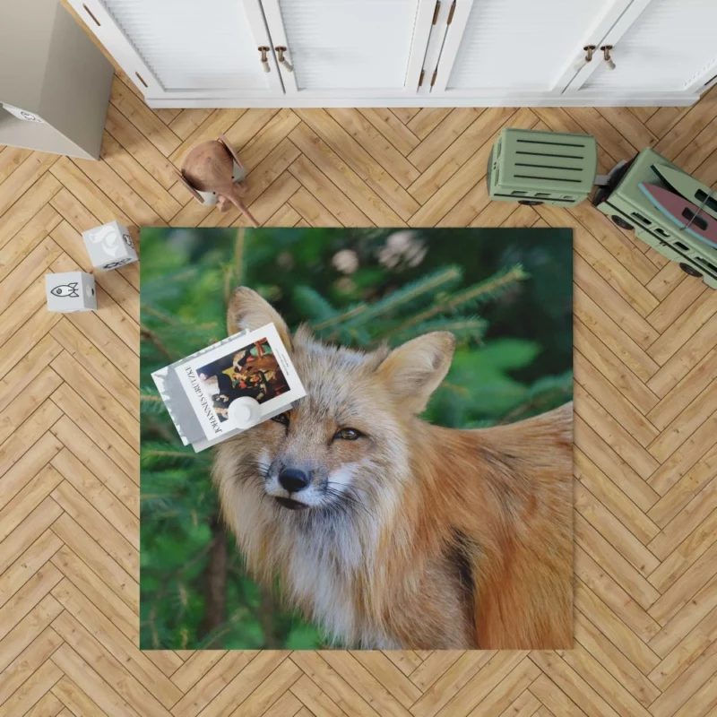 Colorful Fox Charm Rug