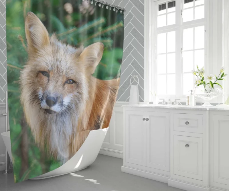 Colorful Fox Charm Shower Curtain 1