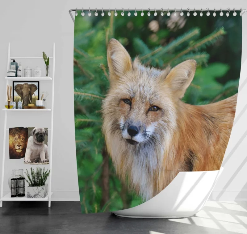 Colorful Fox Charm Shower Curtain