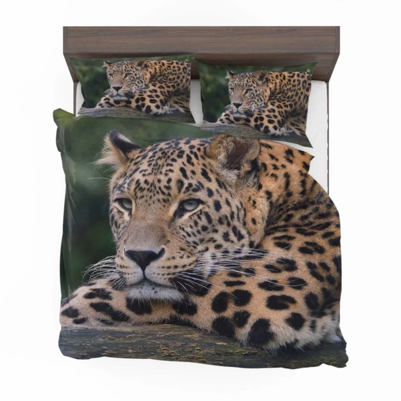 Colorful Leopard Power Bedding Set 1