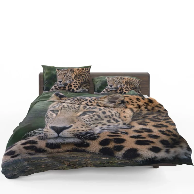 Colorful Leopard Power Bedding Set