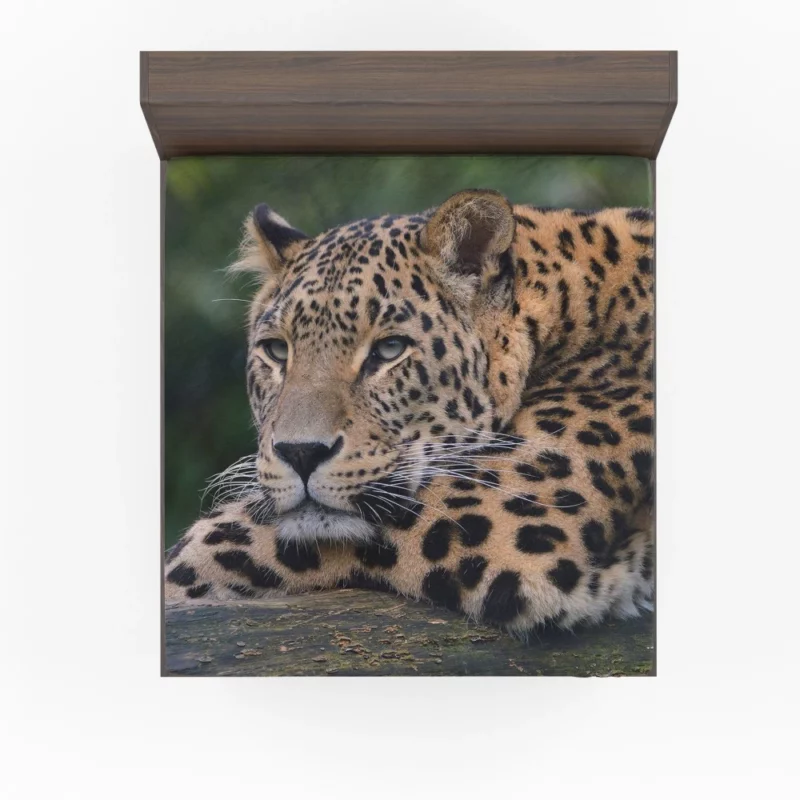 Colorful Leopard Power Fitted Sheet 1