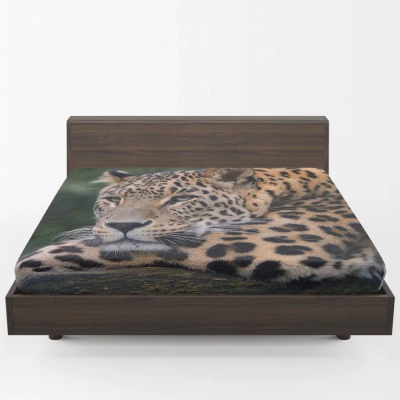 Colorful Leopard Power Fitted Sheet