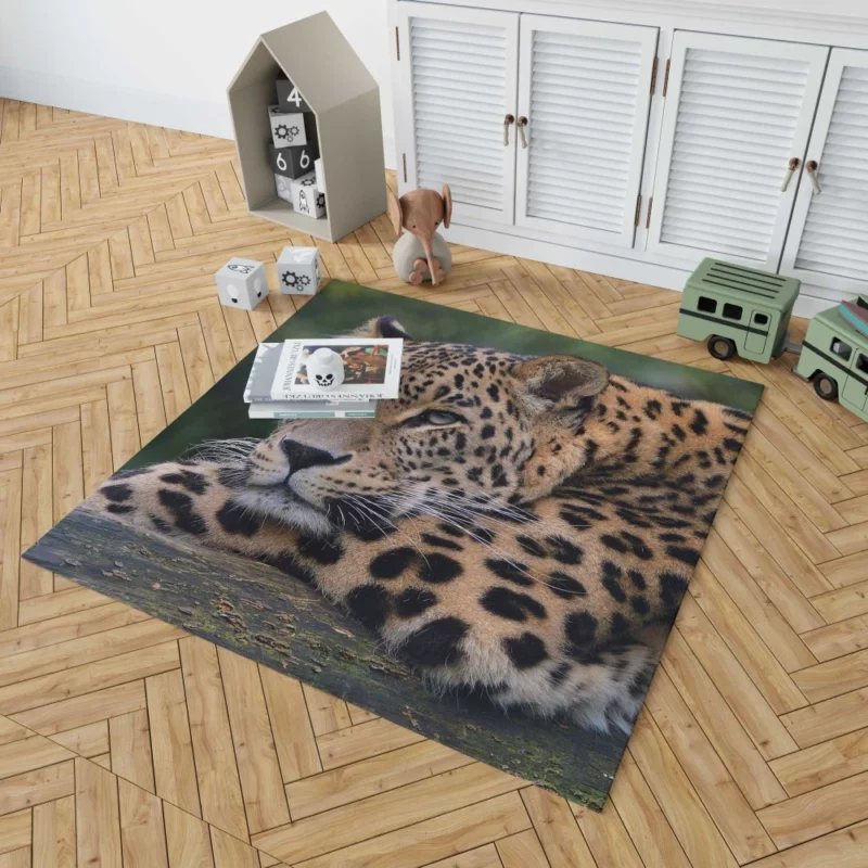 Colorful Leopard Power Rug 1