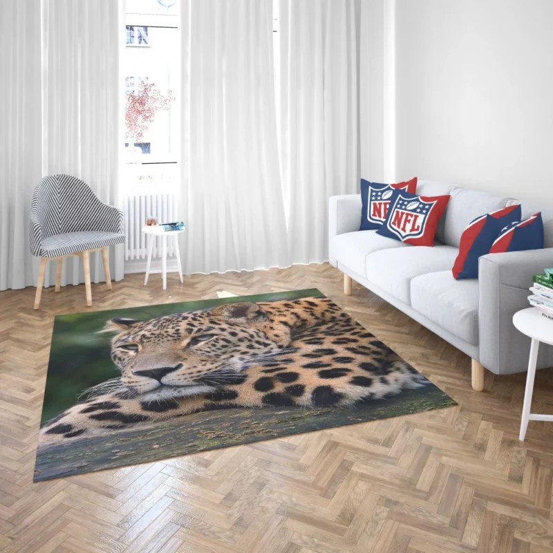 Colorful Leopard Power Rug 2