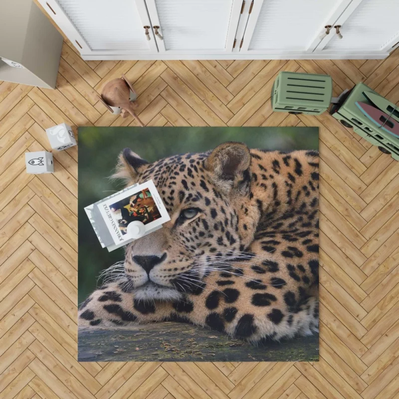 Colorful Leopard Power Rug