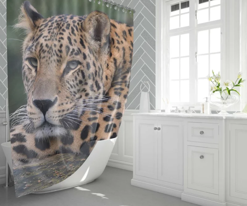 Colorful Leopard Power Shower Curtain 1