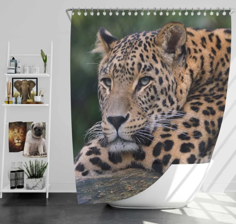 Colorful Leopard Power Shower Curtain