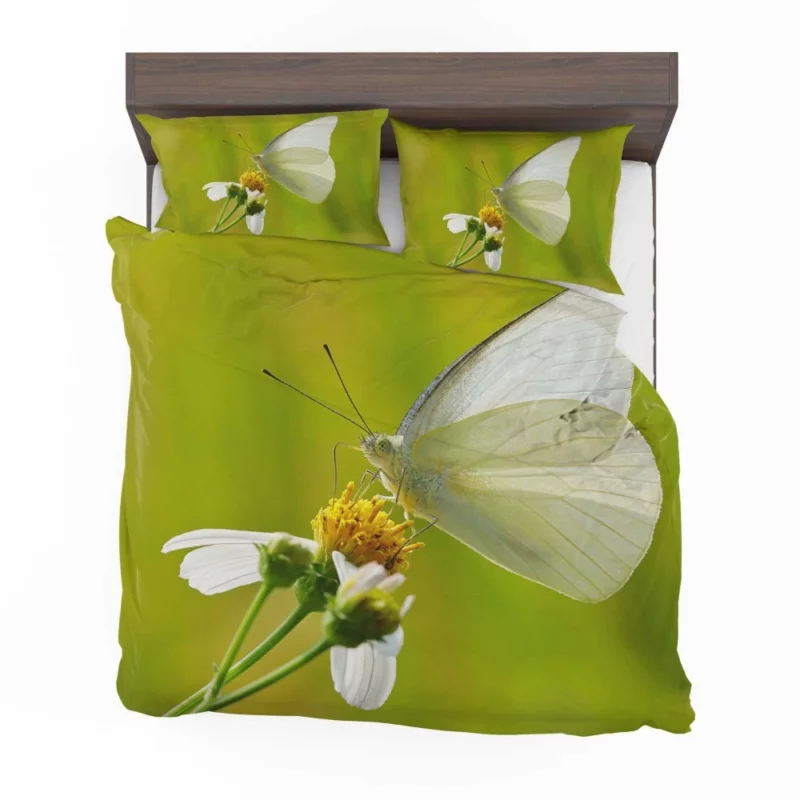 Common Albatross Butterfly Graceful Flight Bedding Set 1