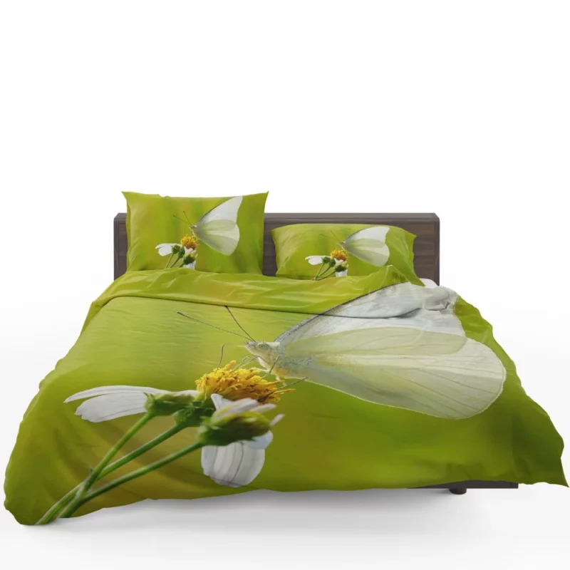 Common Albatross Butterfly Graceful Flight Bedding Set