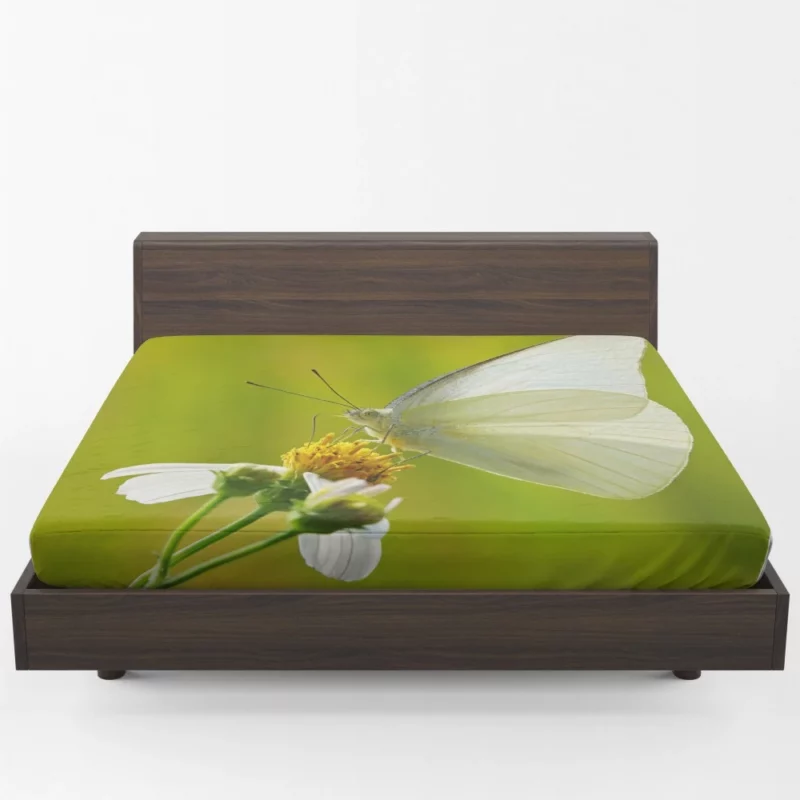 Common Albatross Butterfly Graceful Flight Fitted Sheet