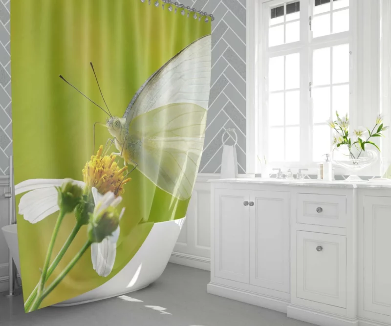 Common Albatross Butterfly Graceful Flight Shower Curtain 1