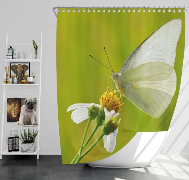 Common Albatross Butterfly Graceful Flight Shower Curtain