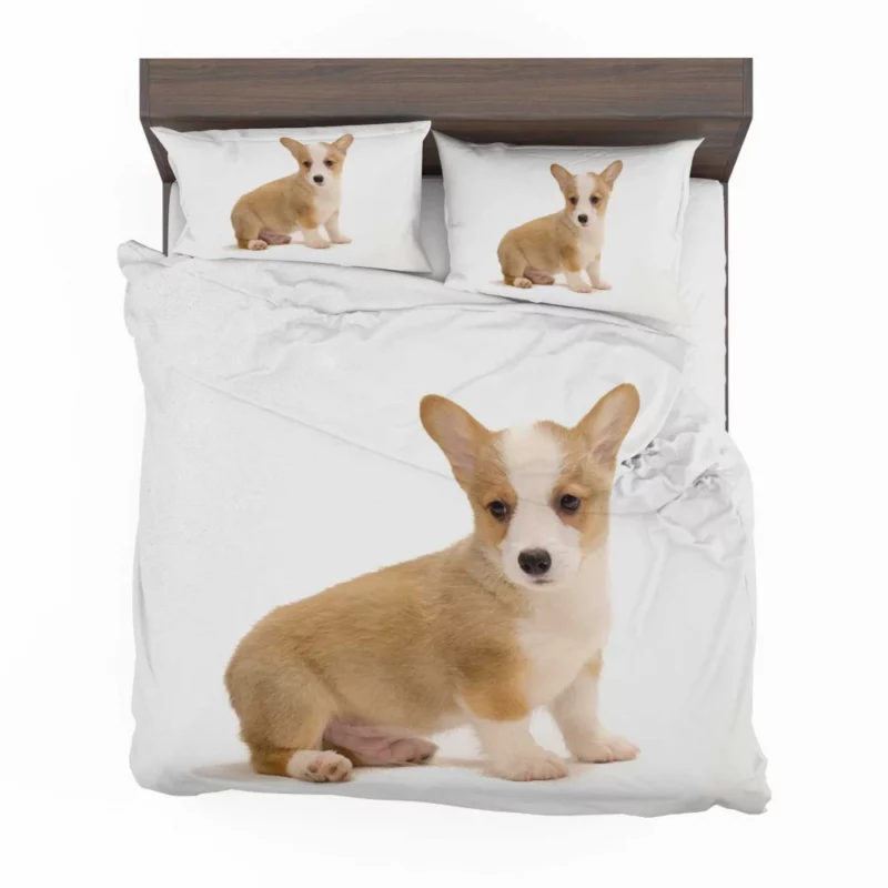 Corgi Playful Persona Furry Delight Bedding Set 1