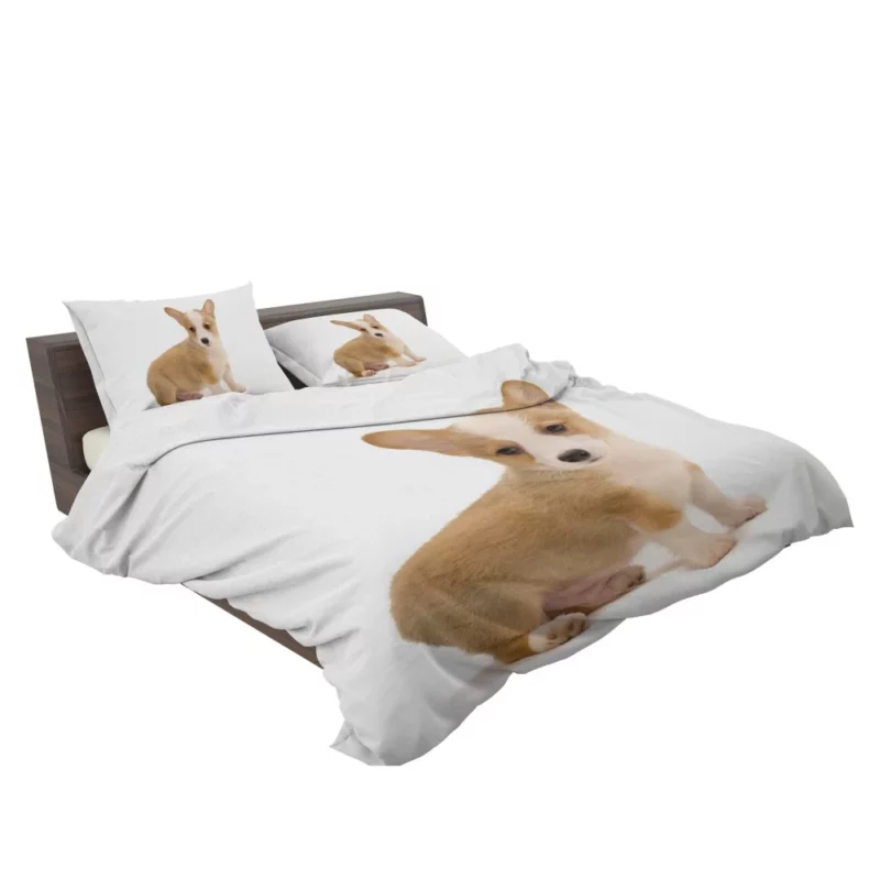 Corgi Playful Persona Furry Delight Bedding Set 2