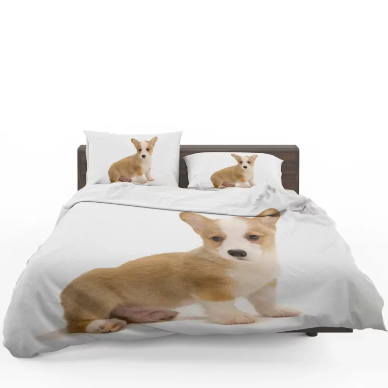 Corgi Playful Persona Furry Delight Bedding Set