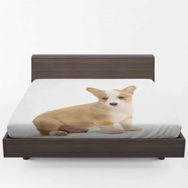 Corgi Playful Persona Furry Delight Fitted Sheet