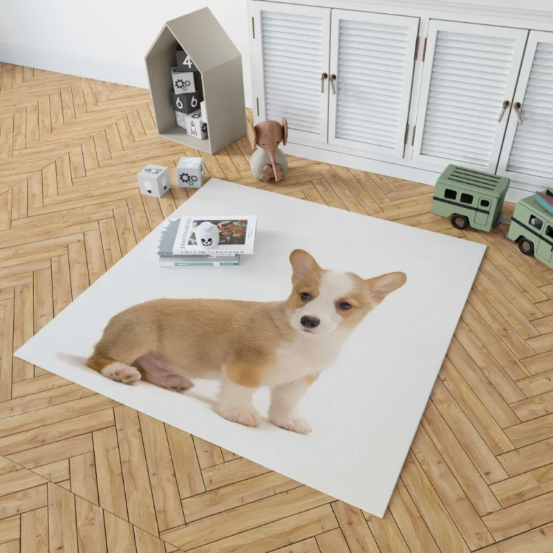 Corgi Playful Persona Furry Delight Rug 1