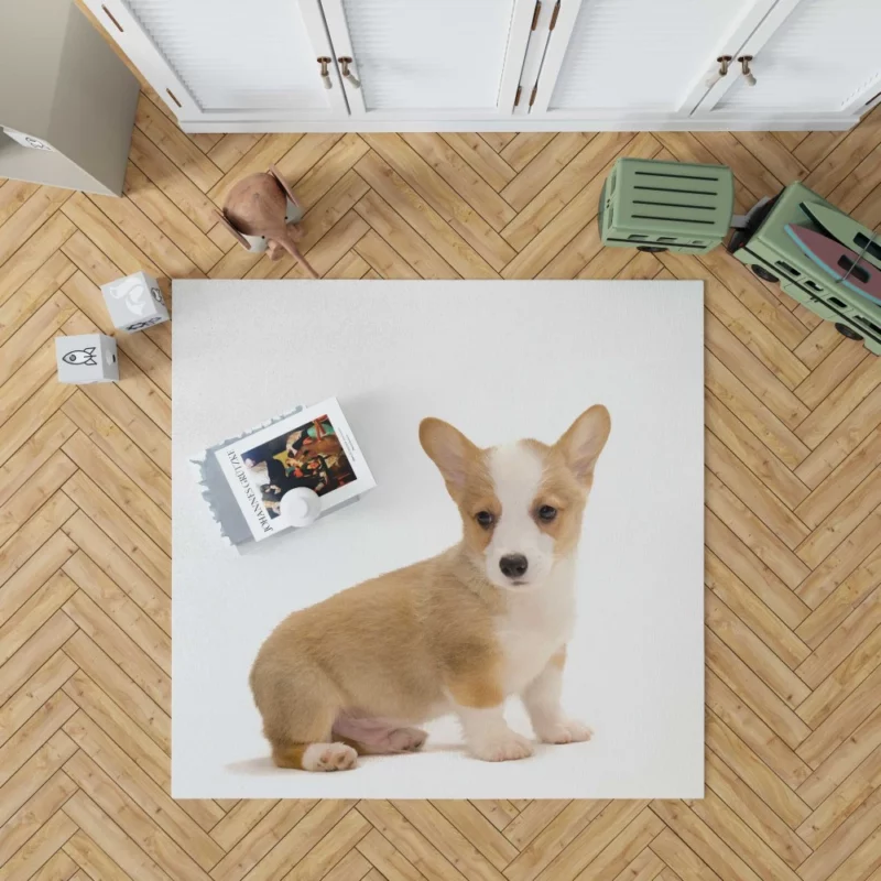 Corgi Playful Persona Furry Delight Rug