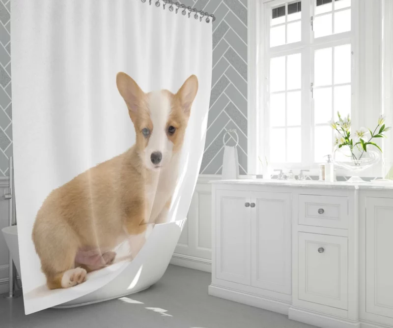 Corgi Playful Persona Furry Delight Shower Curtain 1