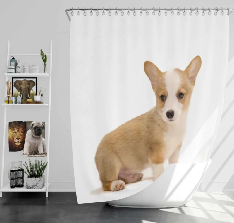 Corgi Playful Persona Furry Delight Shower Curtain