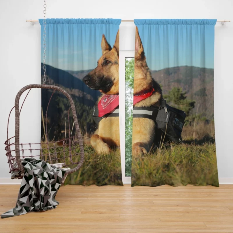 Countryside German Shepherd Rustic Charm Curtain