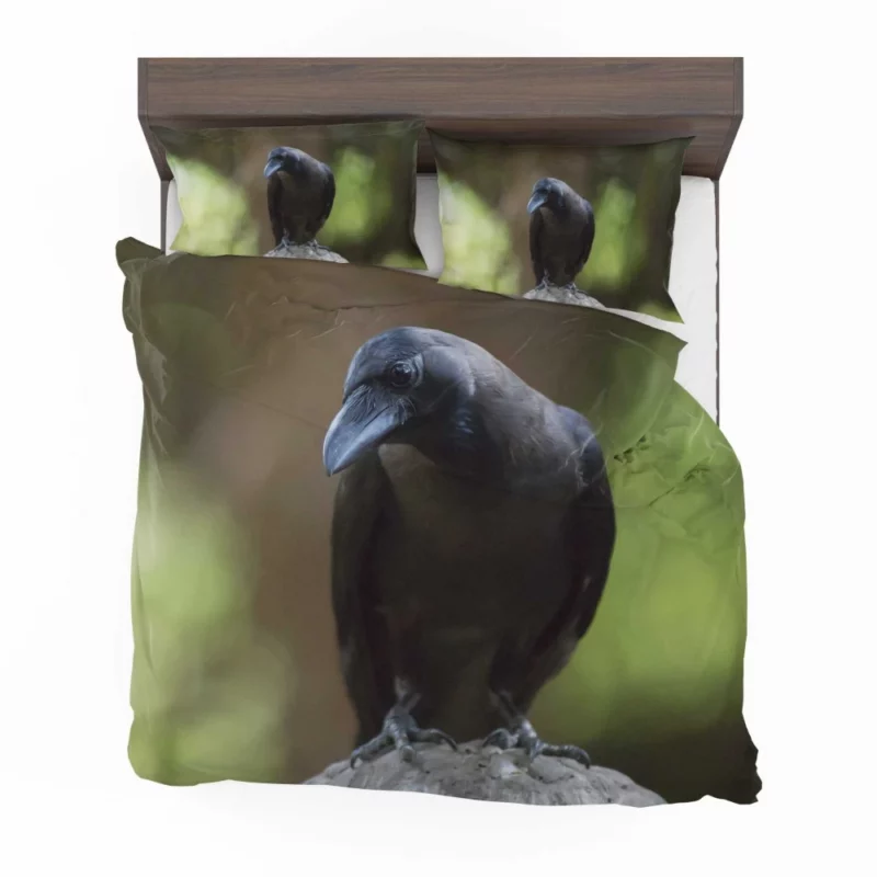 Crow Inquisitive Gaze Avian Watch Bedding Set 1