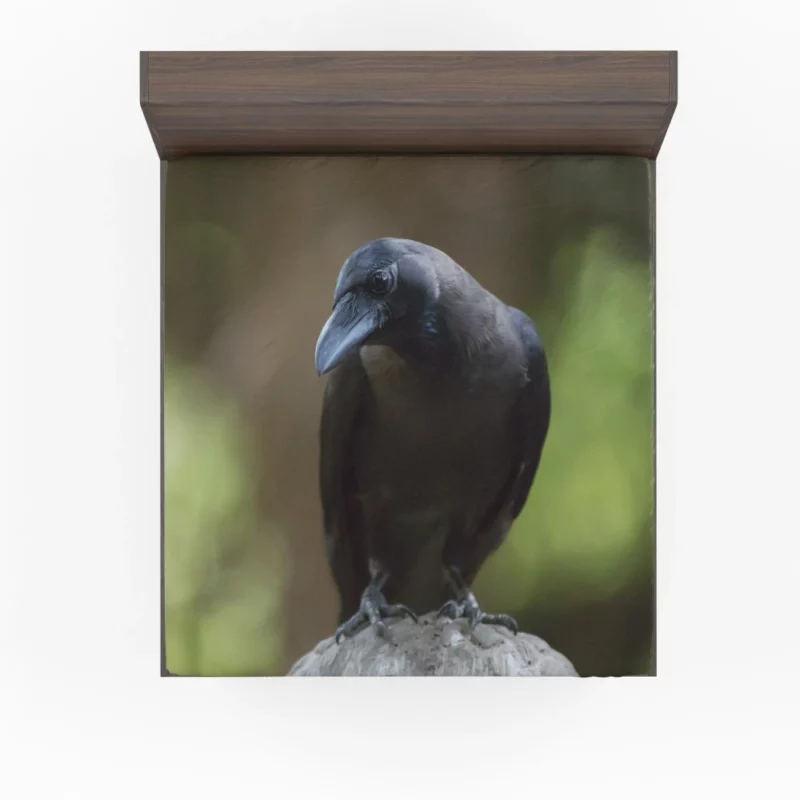 Crow Inquisitive Gaze Avian Watch Fitted Sheet 1