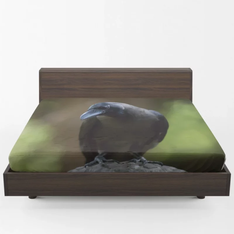 Crow Inquisitive Gaze Avian Watch Fitted Sheet