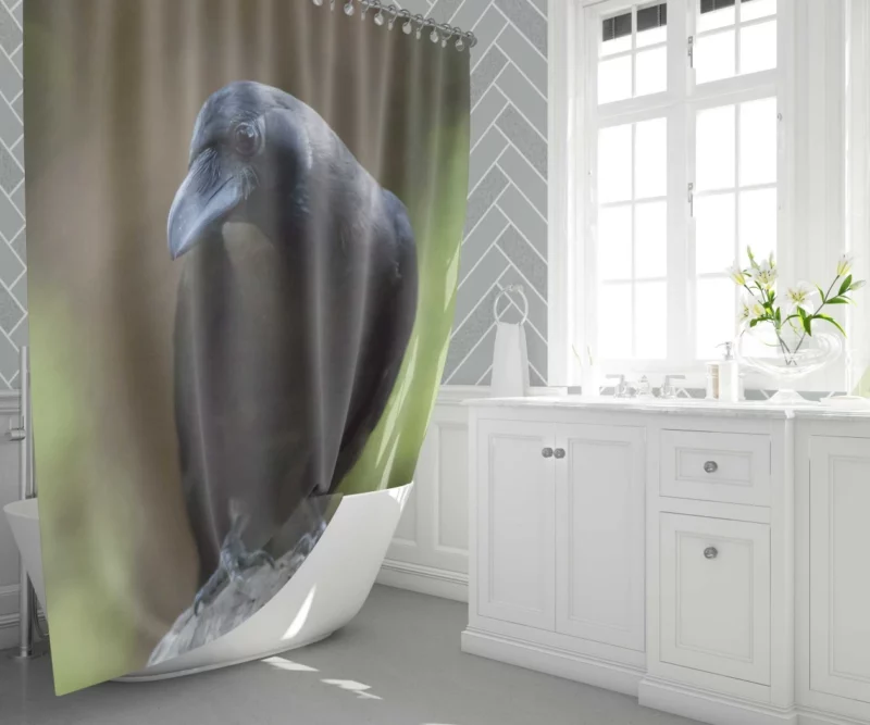 Crow Inquisitive Gaze Avian Watch Shower Curtain 1