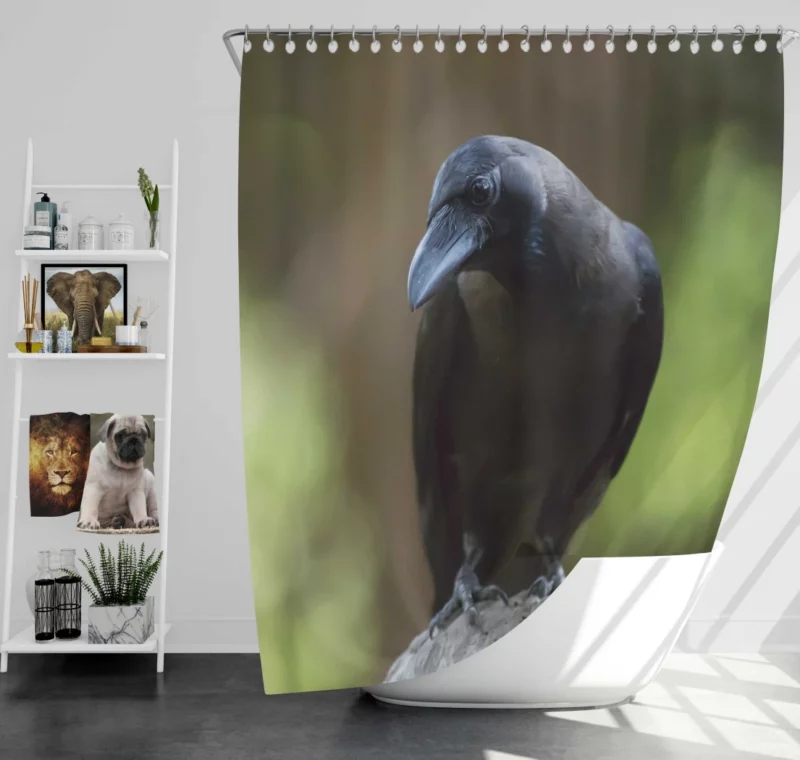 Crow Inquisitive Gaze Avian Watch Shower Curtain