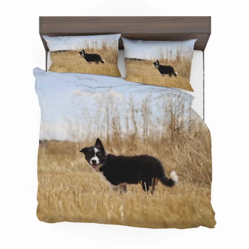 Cumberland Sheepdog Puppy Amidst Fields Bedding Set 1