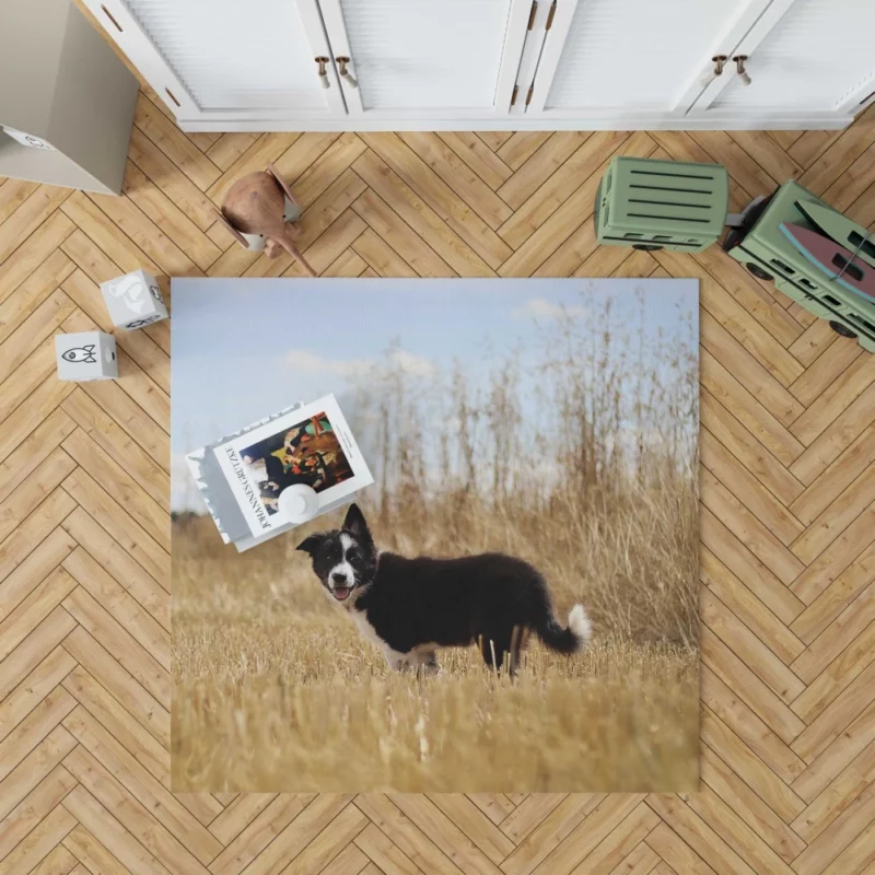 Cumberland Sheepdog Puppy Amidst Fields Rug