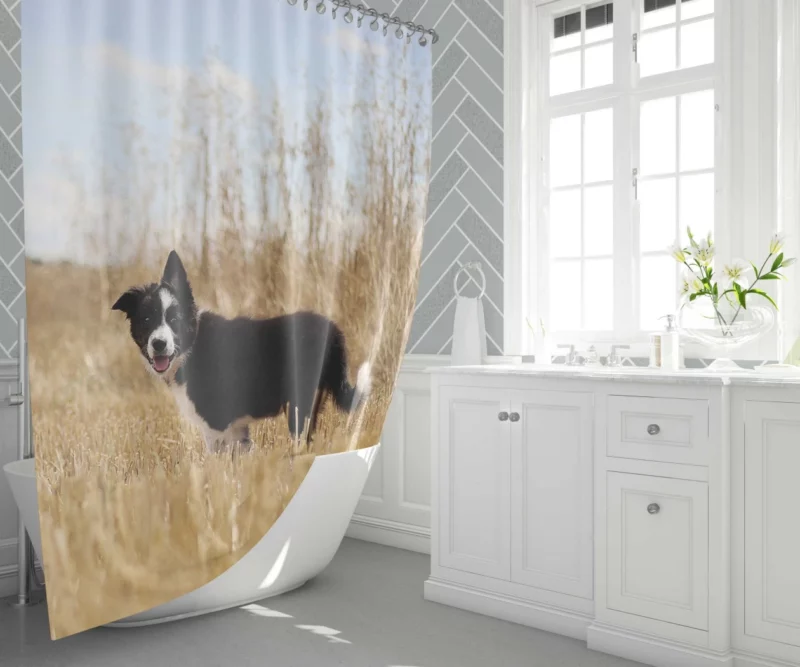 Cumberland Sheepdog Puppy Amidst Fields Shower Curtain 1