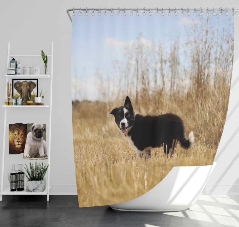 Cumberland Sheepdog Puppy Amidst Fields Shower Curtain