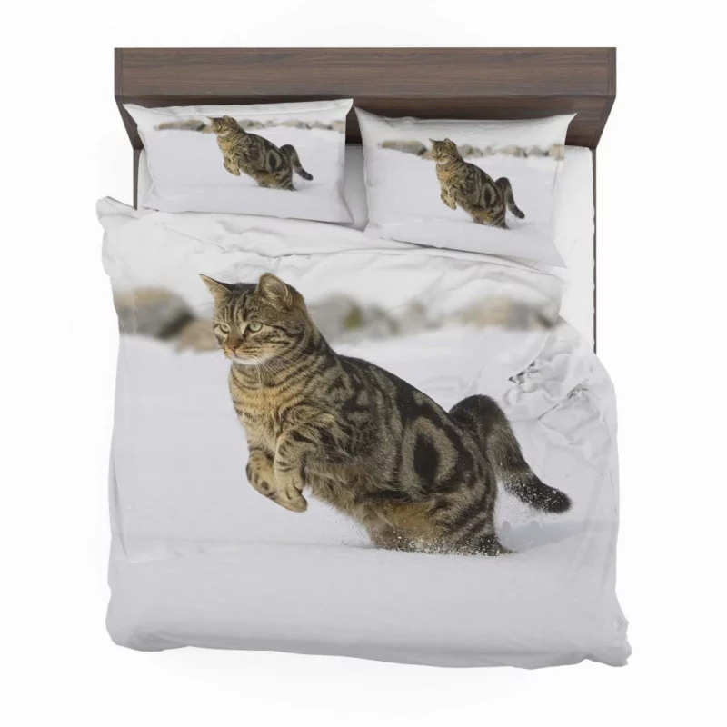 Curious Cat Close-Up Bedding Set 1