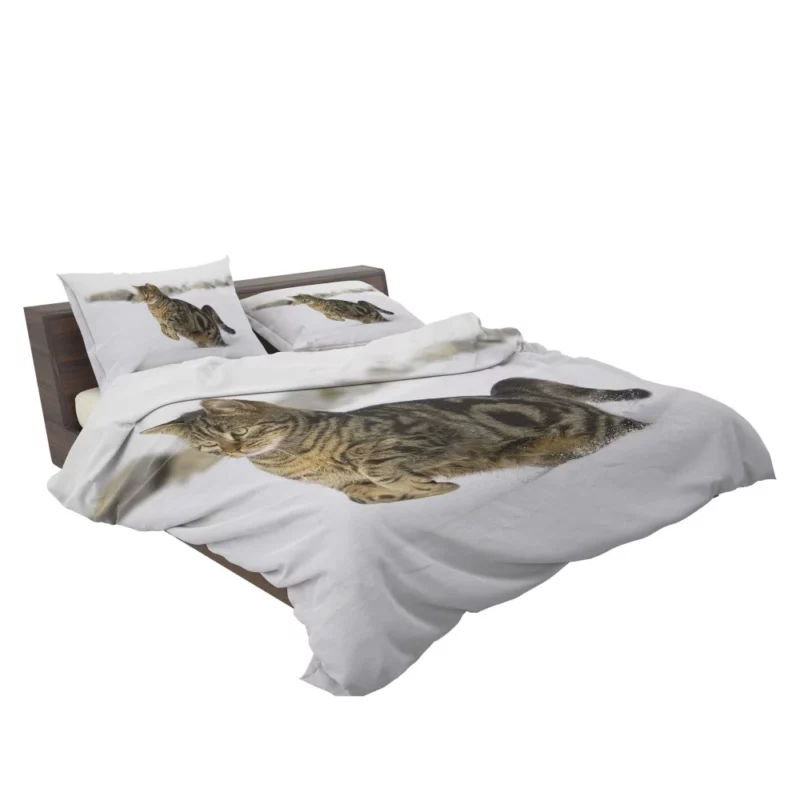 Curious Cat Close-Up Bedding Set 2