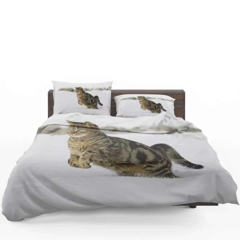 Curious Cat Close-Up Bedding Set