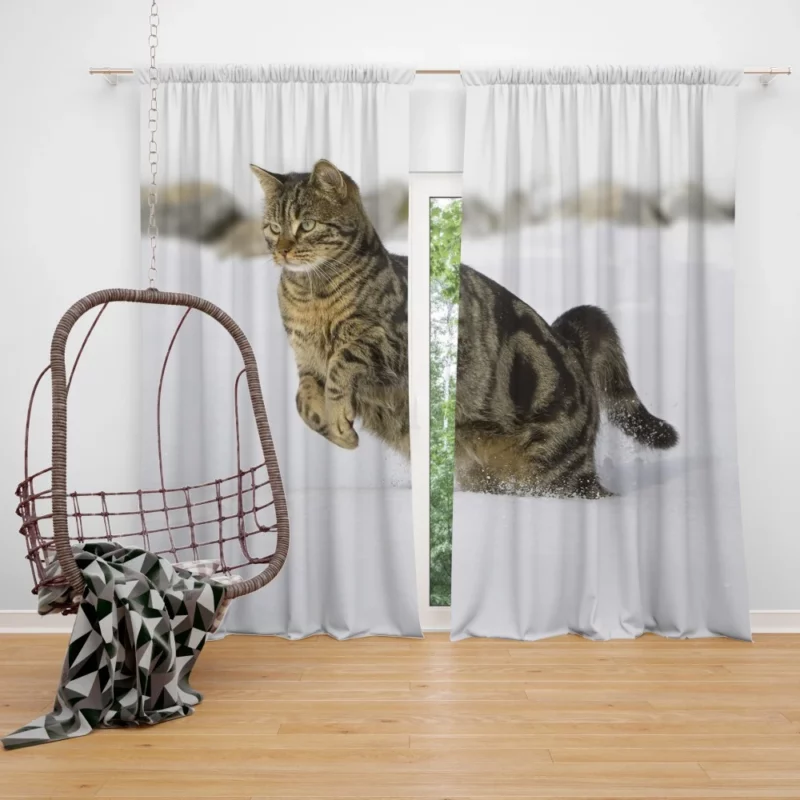 Curious Cat Close-Up Curtain