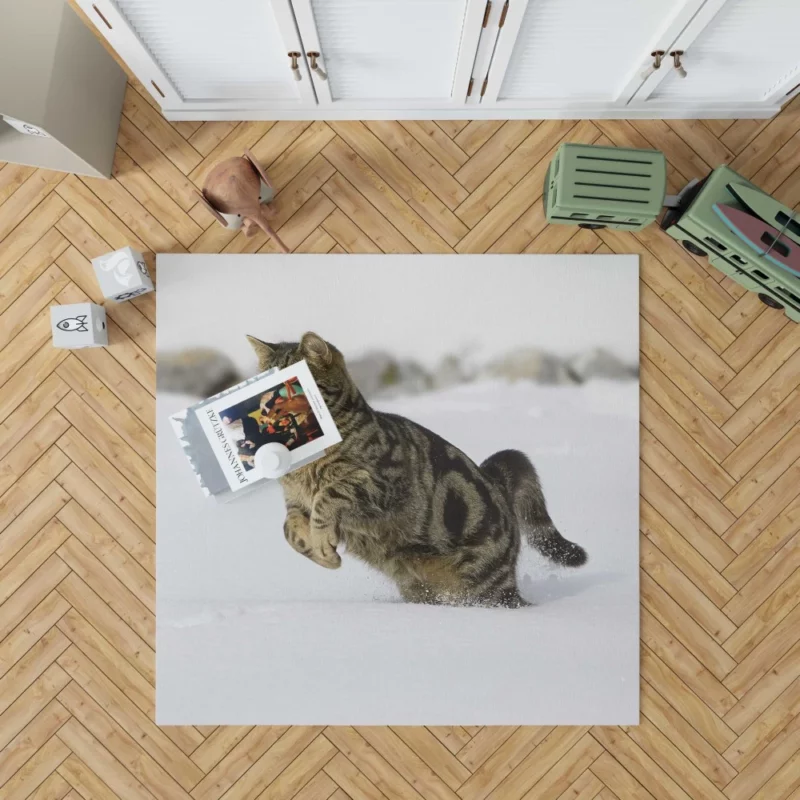 Curious Cat Close-Up Rug