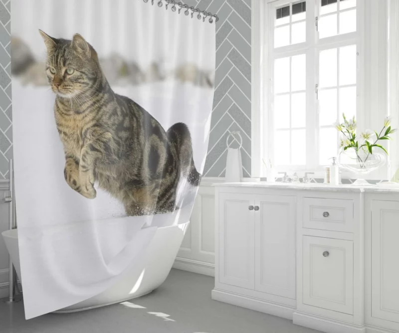 Curious Cat Close-Up Shower Curtain 1